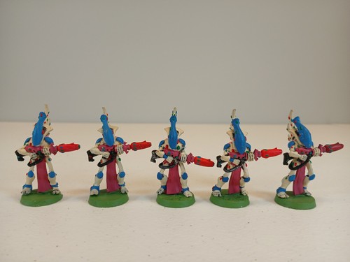 Wraith guard painted metal - guard,